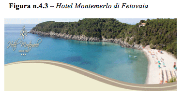 Le strategie di sviluppo delle imprese turistiche - Foto 11