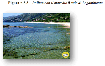 Le strategie di sviluppo delle imprese turistiche - Foto 12